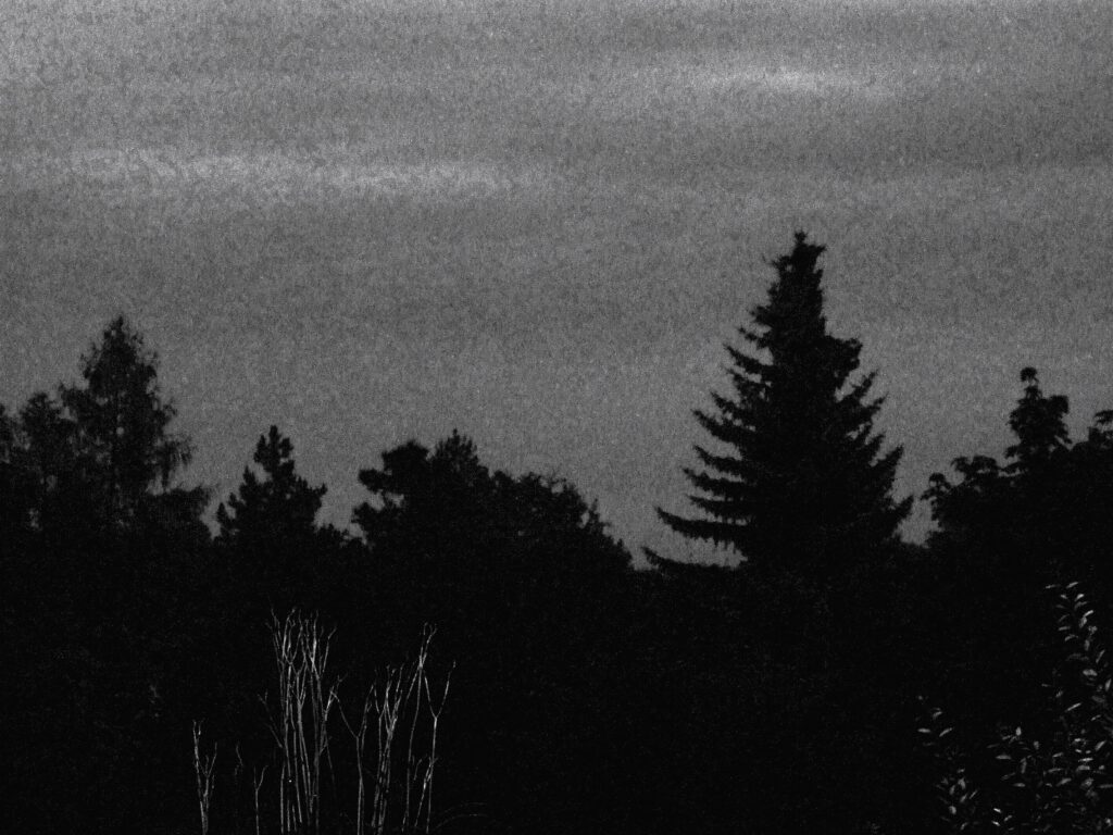 Carl Schmitt und die Technolibertarians