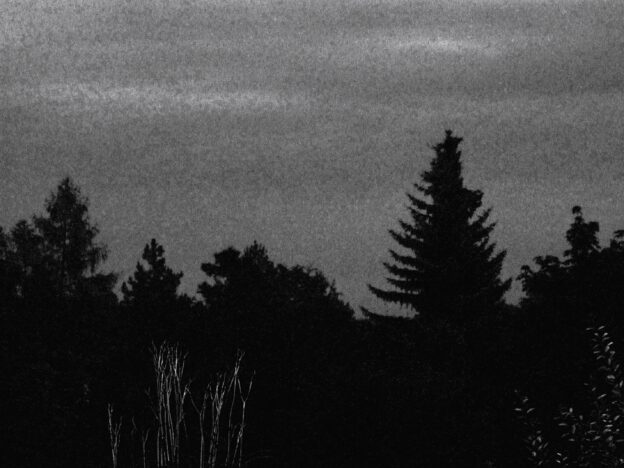 Carl Schmitt und die Technolibertarians